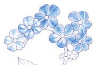 九牛一毫