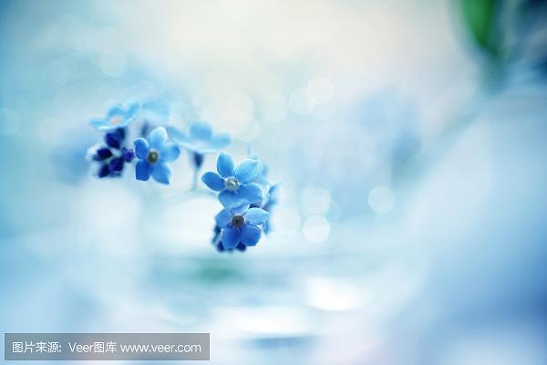 皓首苍颜