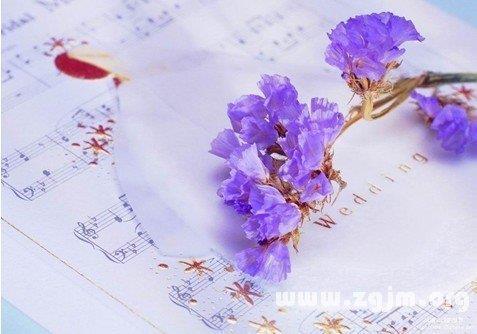 涉世未深