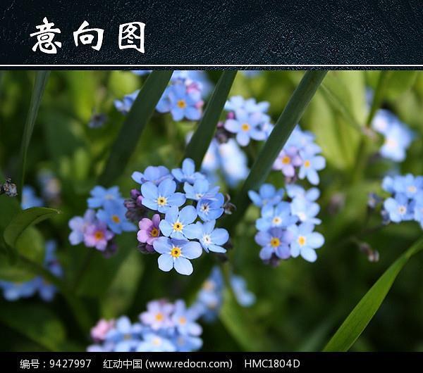 反听内视