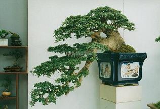 书符咒水