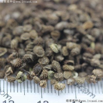 七首八脚