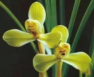 层层加码