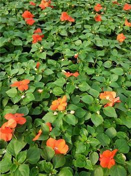 取予有节