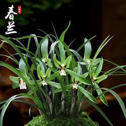 穷途之哭