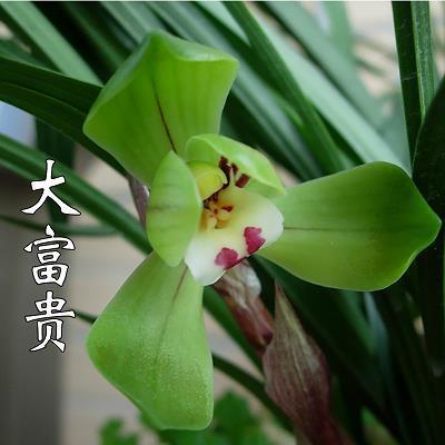 眼角眉梢