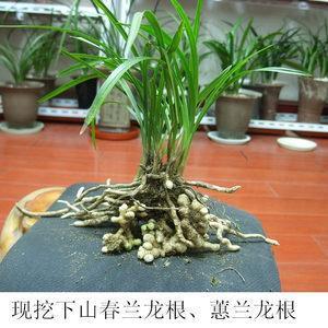 来踪去迹