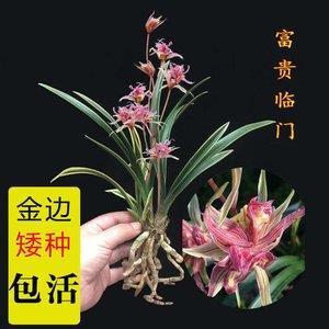 超阶越次