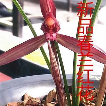 轻轻松松