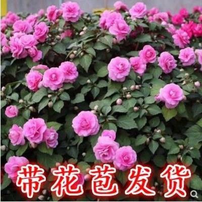 天人相应