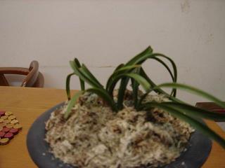 名花有主