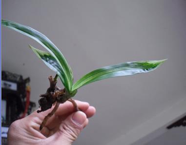 致知格物