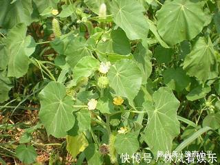 观山玩水