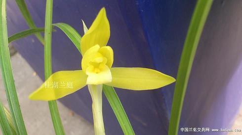 惙怛伤悴