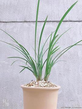 细微末节