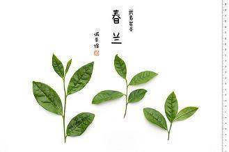 下不来台