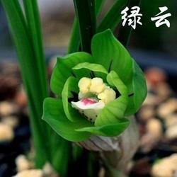漫天叫价