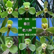 奋发向上