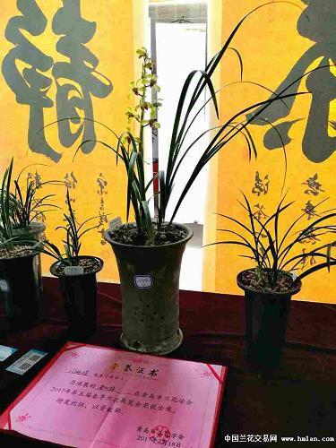 望门投止