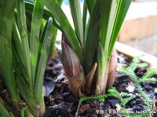 稳扎稳打