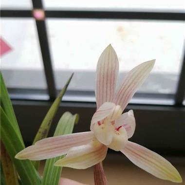 怪声怪气