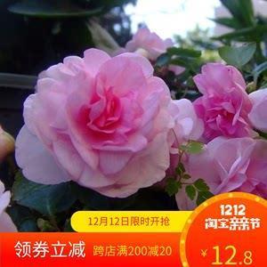 洗心自新