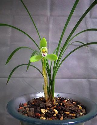 春节朋友圈2021年温馨祝福句子78句