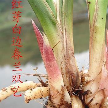 忝陪末座
