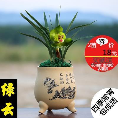 哀痛欲绝