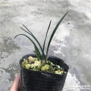 天道宁论