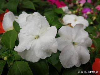 好高骛远