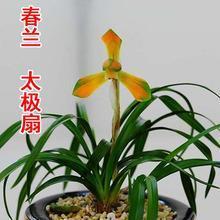 冰炭不同器
