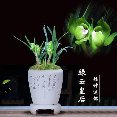 千金一掷