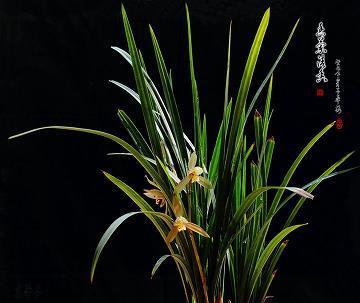 一人向隅，满坐不乐