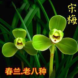 小才大用