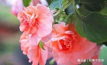 梦想不到