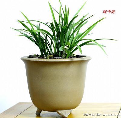 悬崕峭壁