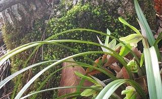 波澜不惊