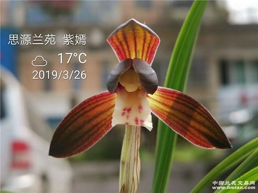 死生荣辱