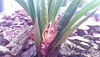 打破砂锅问到底