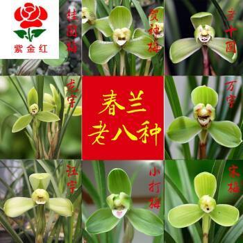 排患解纷