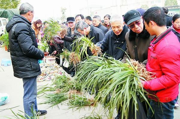 放长线钓大鱼