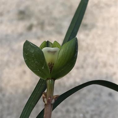 惊心悼胆