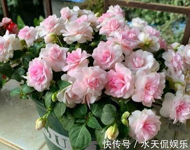 恍恍忽忽