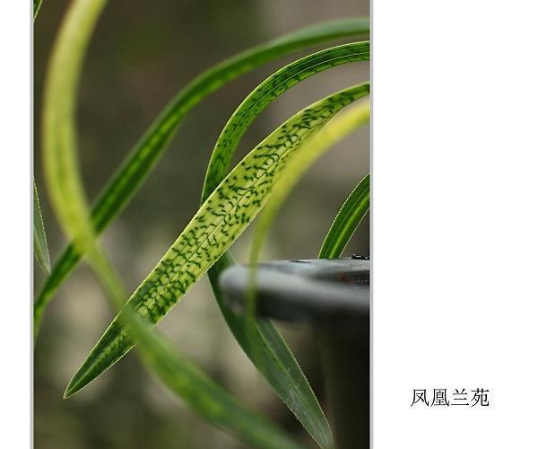 江海不逆小流