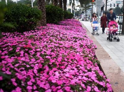 安室利处