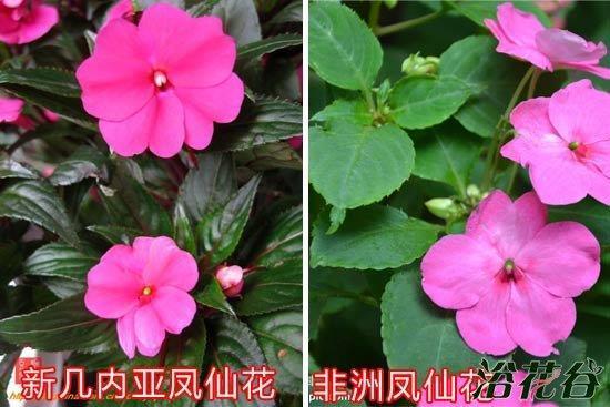 惊师动众