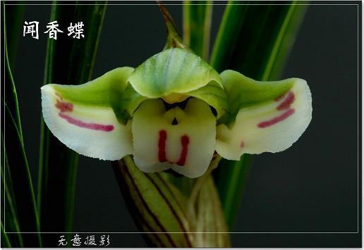 毛骨耸然