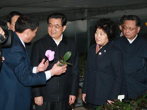 兵无斗志