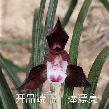 神领意造